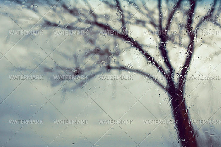 5613751328_e53184813a_o