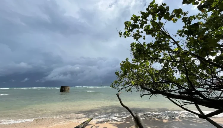 ملف - جزيرة إنجانو في بنجكولو. (أنتارا/فاني فيتريا/أنوم بريهانتورو)
