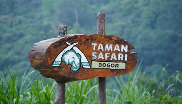 تامان سفاري إندونيسيا