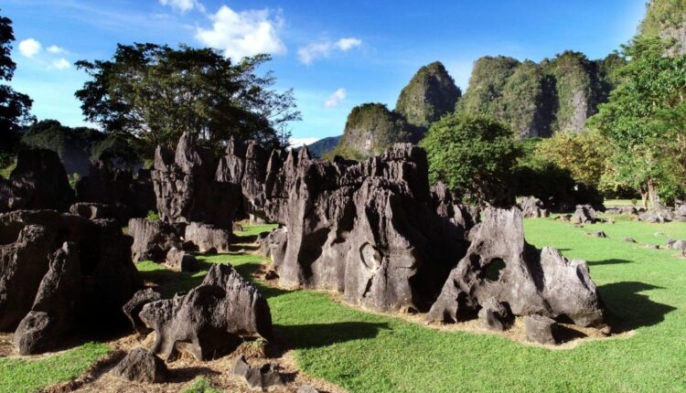 حديقة ليانغ ليانغ الأثرية | Taman Arkeologi Leang-Leang