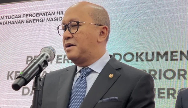 الرئيس التنفيذي لشركة دانانتارا، روسان روسلاني. /أنتارا/بوتو إنداه سافيتري