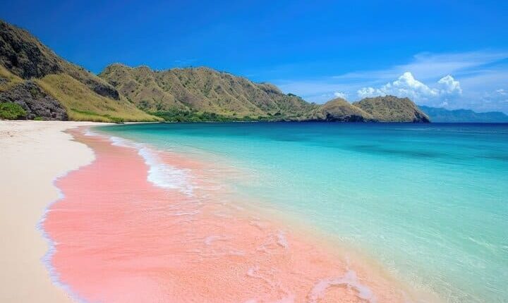 الشاطئ الوردي، كومودو