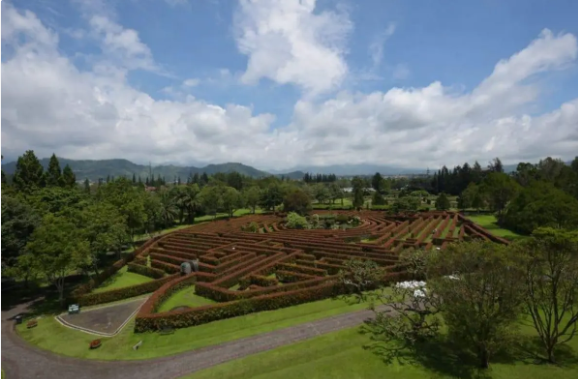حديقة الزهور نوسانتارا – تشيانجور: بجانب السفاري، يمكن للأطفال الاستمتاع بجمال مساحات واسعة من الزهور.