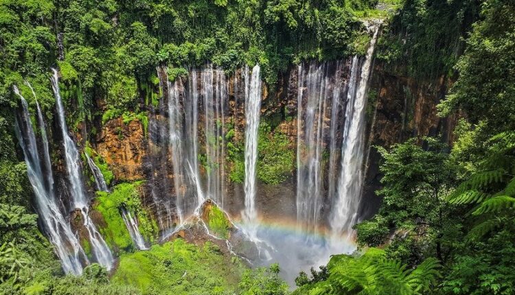 شلال “تُمباك سيوو” | Air Terjun Tumpak Sewu