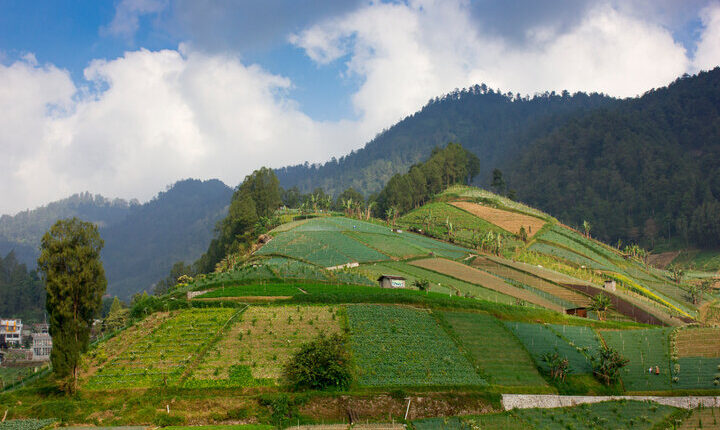 تاوانغماغو، جاوة الوسطى | Tawangmangu, Jawa Tengah
