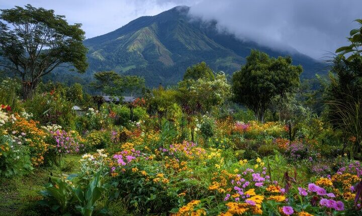 توموهون، سولاوسي الشمالية | Tomohon, Sulawesi Utara
