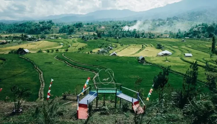 ماماسا، سولاوسي الغربية | Mamasa, Sulawesi Barat
