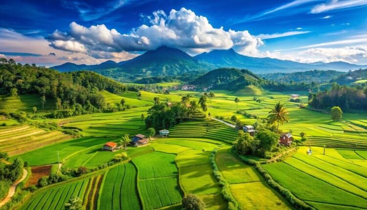 قرية سومبر برانتاس – جاوة الشرقية | Desa Wisata Sumber Brantas, Jawa Timur
